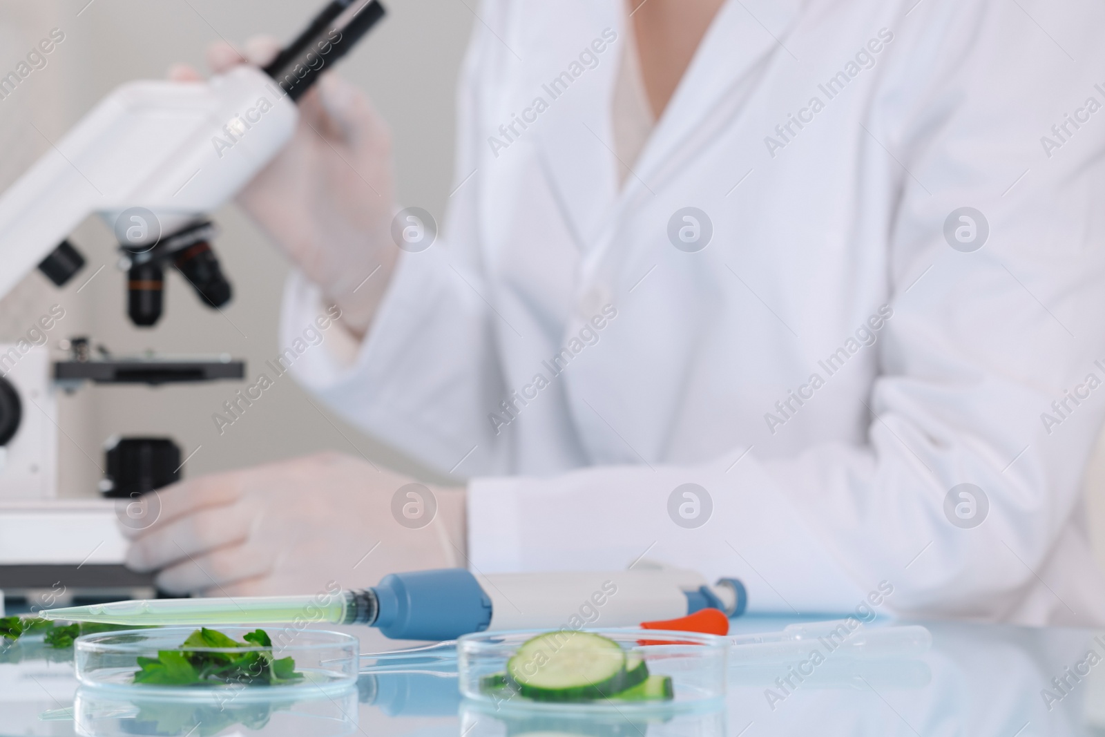 Photo of Quality control. Food inspector working in laboratory, selective focus