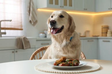 Photo of Cute hungry dog sitting in front of plate with fried meat indoors