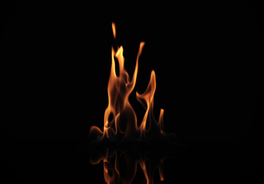 Beautiful bright fire flames on black background