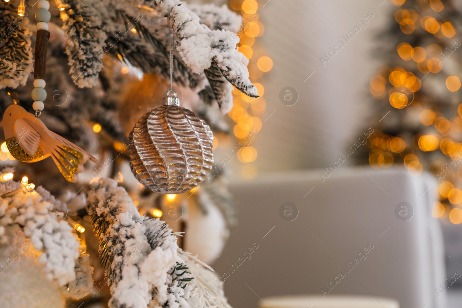 Photo of Christmas tree branch with ball indoors, closeup. Festive interior decoration