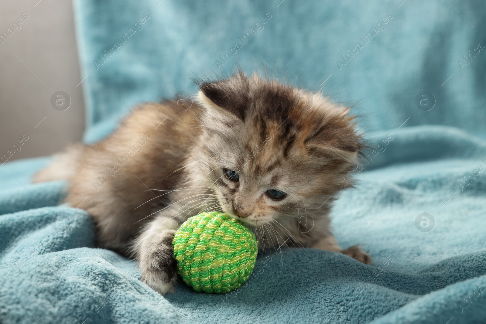 Photo of Cute kitten playing with ball on light blue blanket
