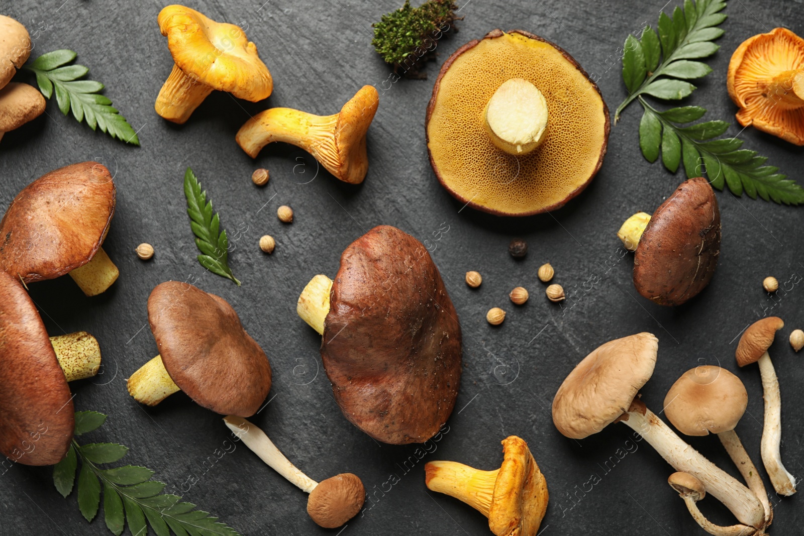 Photo of Flat lay composition with different mushrooms and pepper on grey background