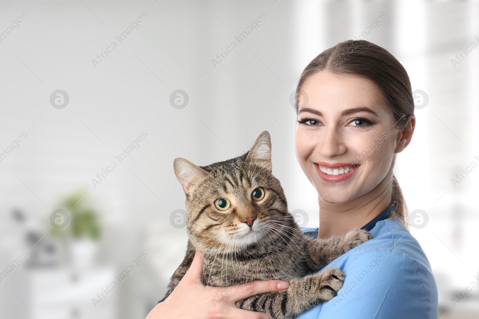 Image of Veterinarian doc with cute cat in clinic