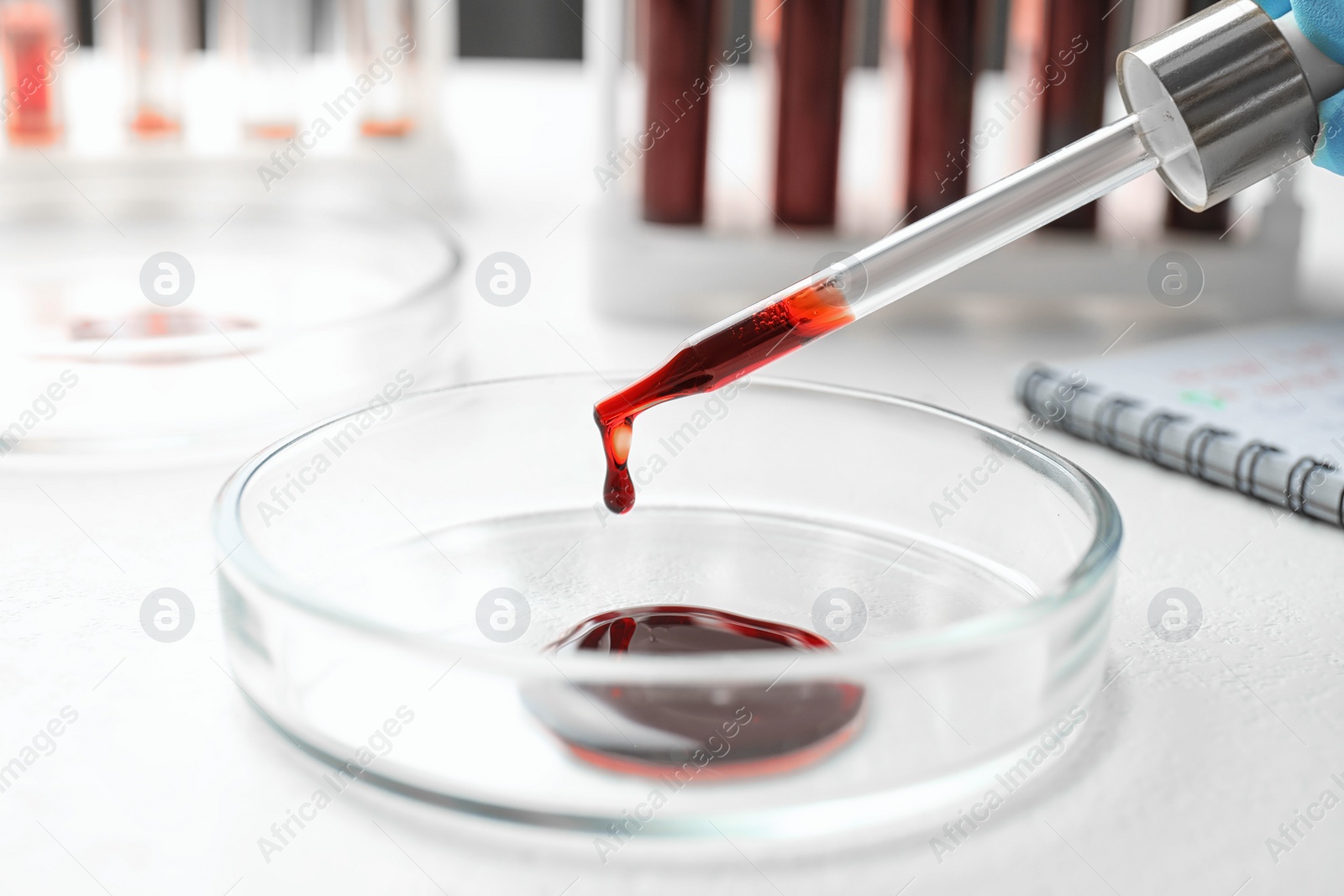 Image of Dripping blood from pipette into Petri dish on table, closeup. Laboratory analysis