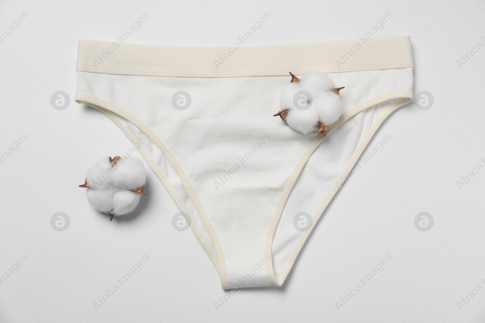 Photo of Stylish women's underwear and cotton flowers on white background, flat lay