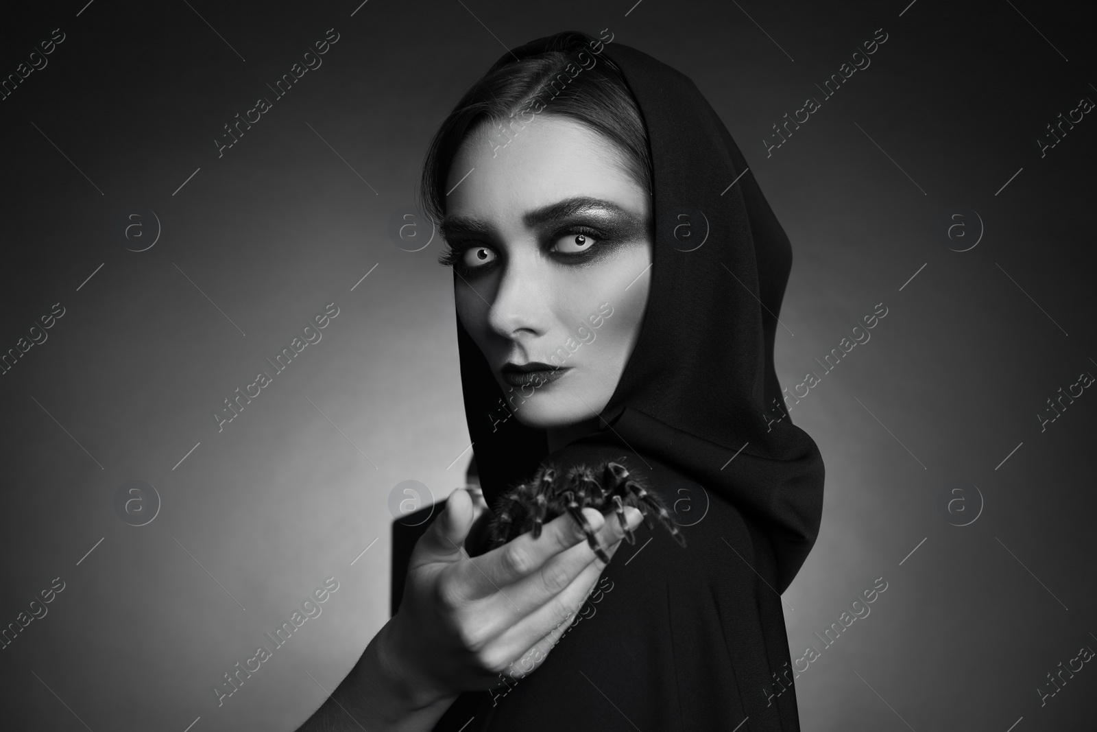 Photo of Mysterious witch with spooky spider on dark background. Black and white effect