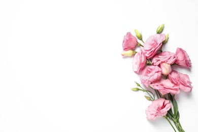 Photo of Beautiful pink Eustoma flowers on white background, top view. Space for text