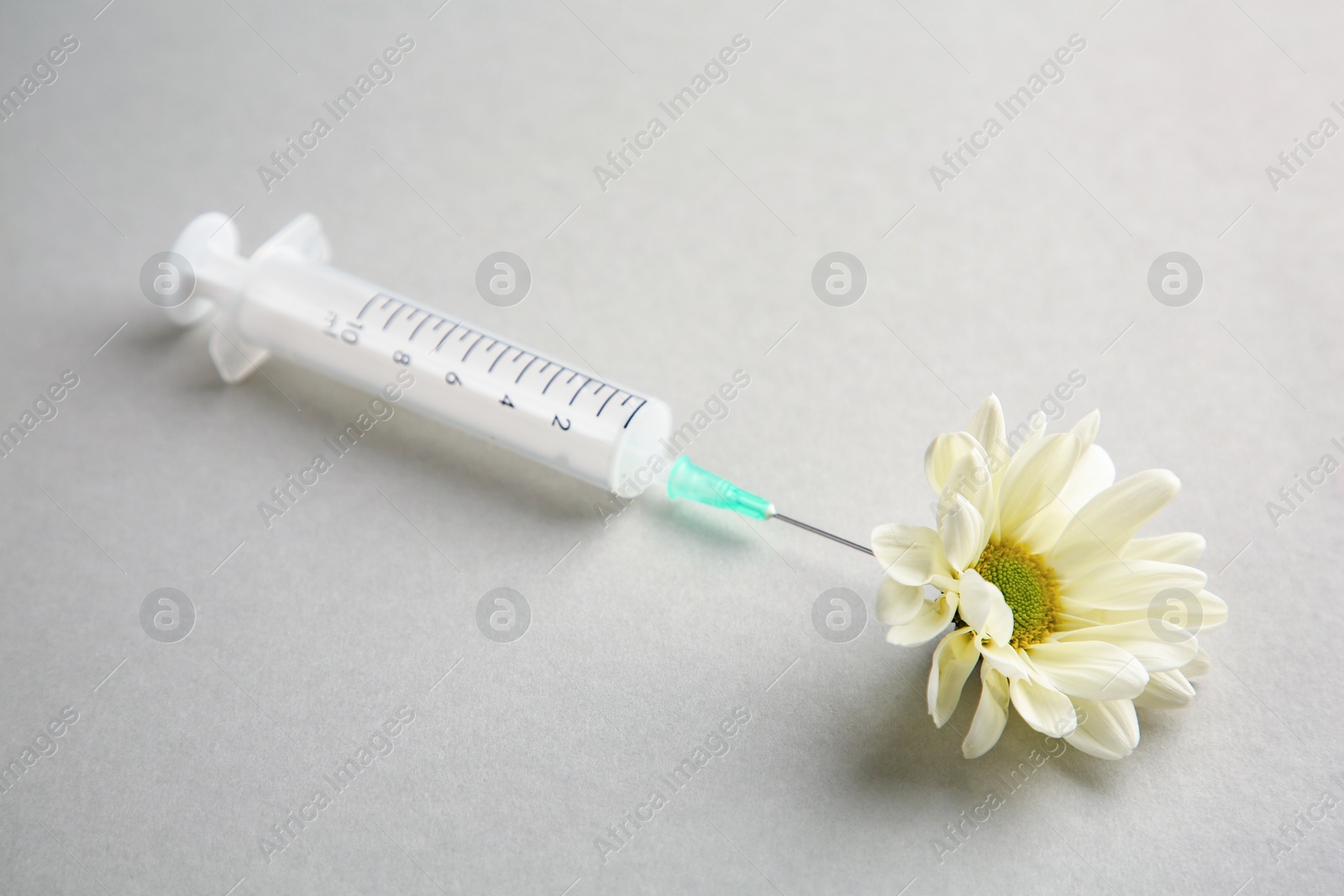 Medical syringe and beautiful chrysanthemum flower on grey background, closeup Photo of Medical syringe and beautiful chrysanthemum flower on grey background, closeup
