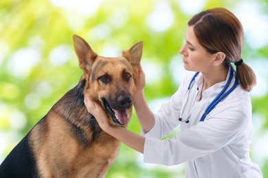 Image of Professional veterinarian examining dog's ears against blurred green background