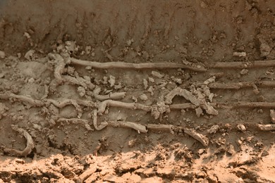 Photo of Ground mud with tire track as background, closeup