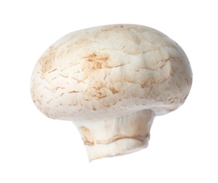 Fresh champignon mushroom isolated on white. Healthy food