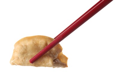 Photo of Chopsticks with delicious gyoza (asian dumpling) isolated on white