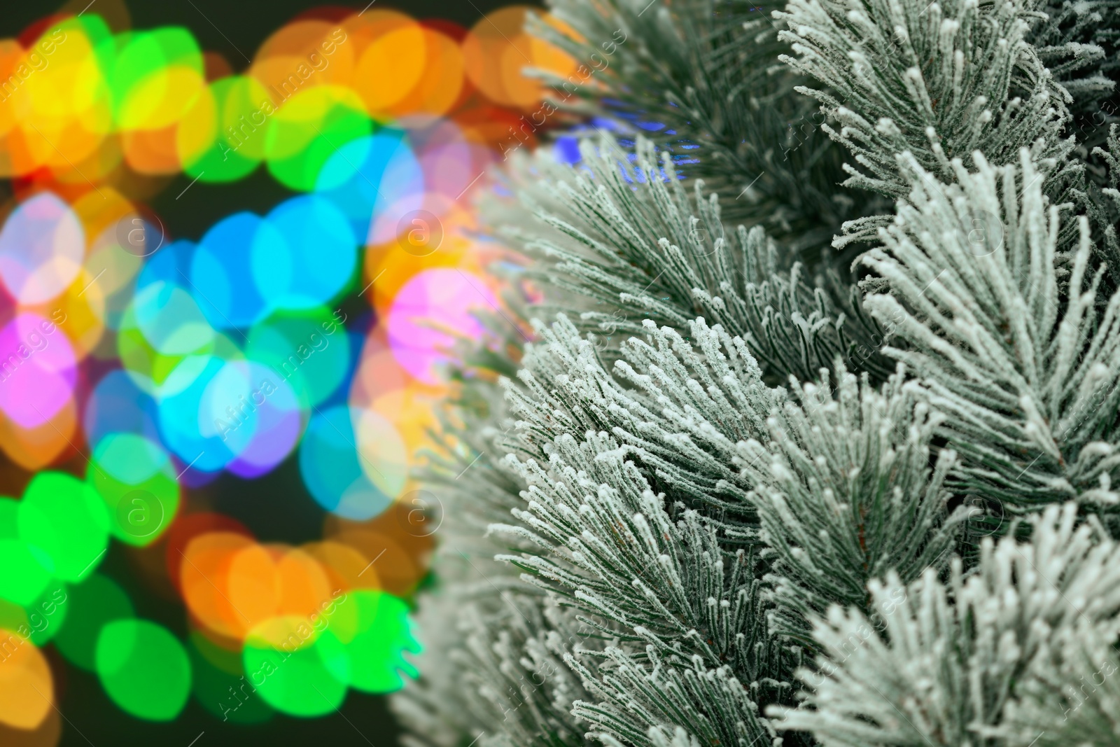 Photo of Decorated Christmas tree against blurred festive lights, closeup. Space for text