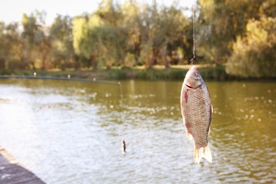 Catching fish on hook in river. Fishing day