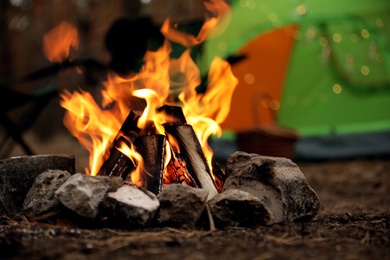 Photo of Beautiful bonfire with burning firewood near camping tent in forest