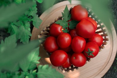 Photo of Bowl with fresh tomatoes on wooden board outdoors, top view