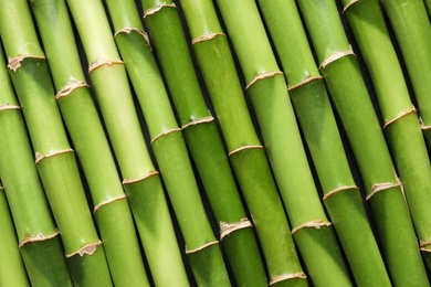 Photo of Green bamboo stems as background, top view