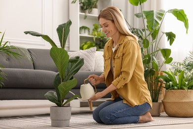 Woman watering beautiful potted houseplant at home