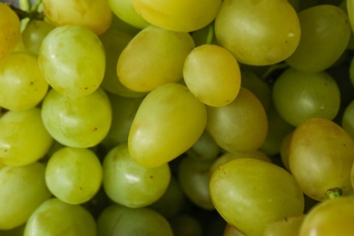 Fresh ripe juicy white grapes as background, closeup view