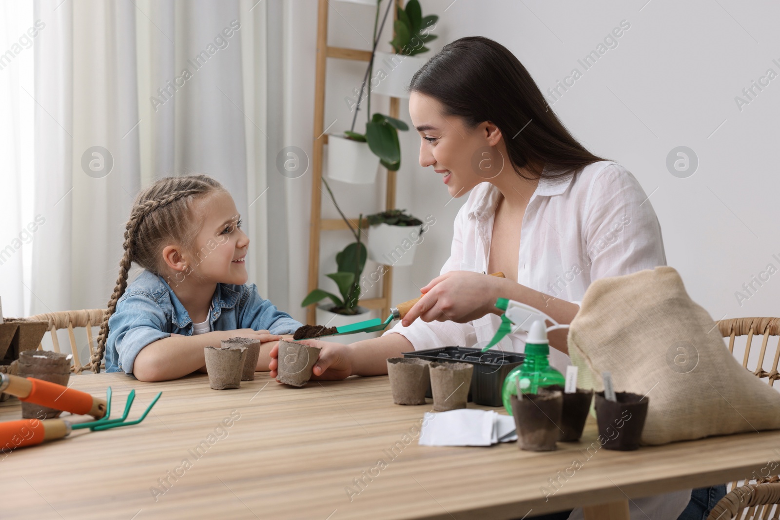 Photo of Mother showing her daughter how to fill peat pots with soil at wooden table indoors. Growing vegetable seeds