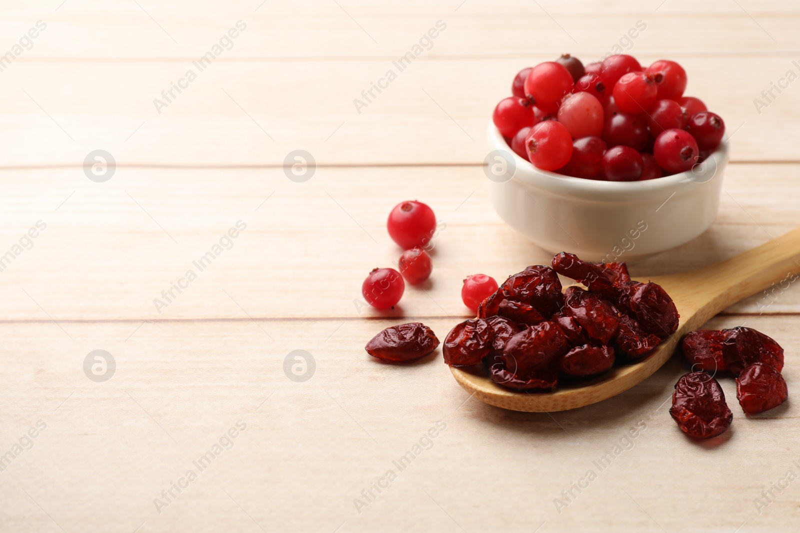 Photo of Spoon with dried cranberries and fresh berries in bowl on wooden table, space for text