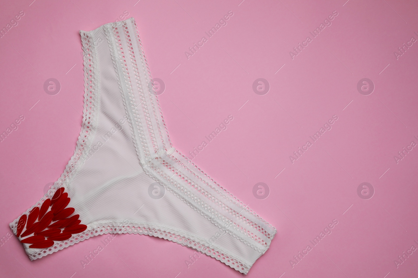 Photo of Woman's panties with red flower petals on pink background, top view. Space for text