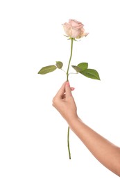 Photo of Woman holding beautiful rose on white background, closeup