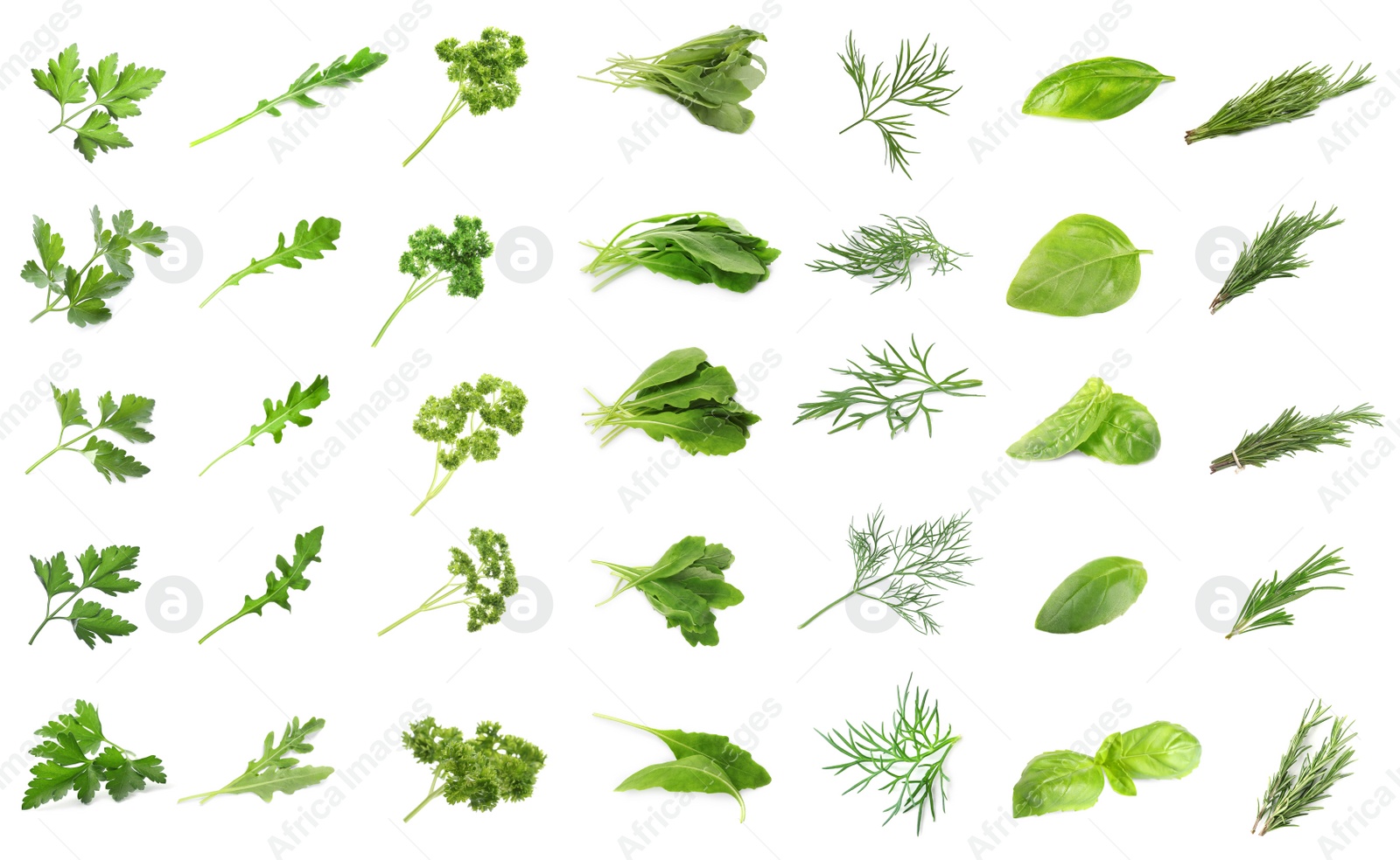 Image of Set with different herbs on white background