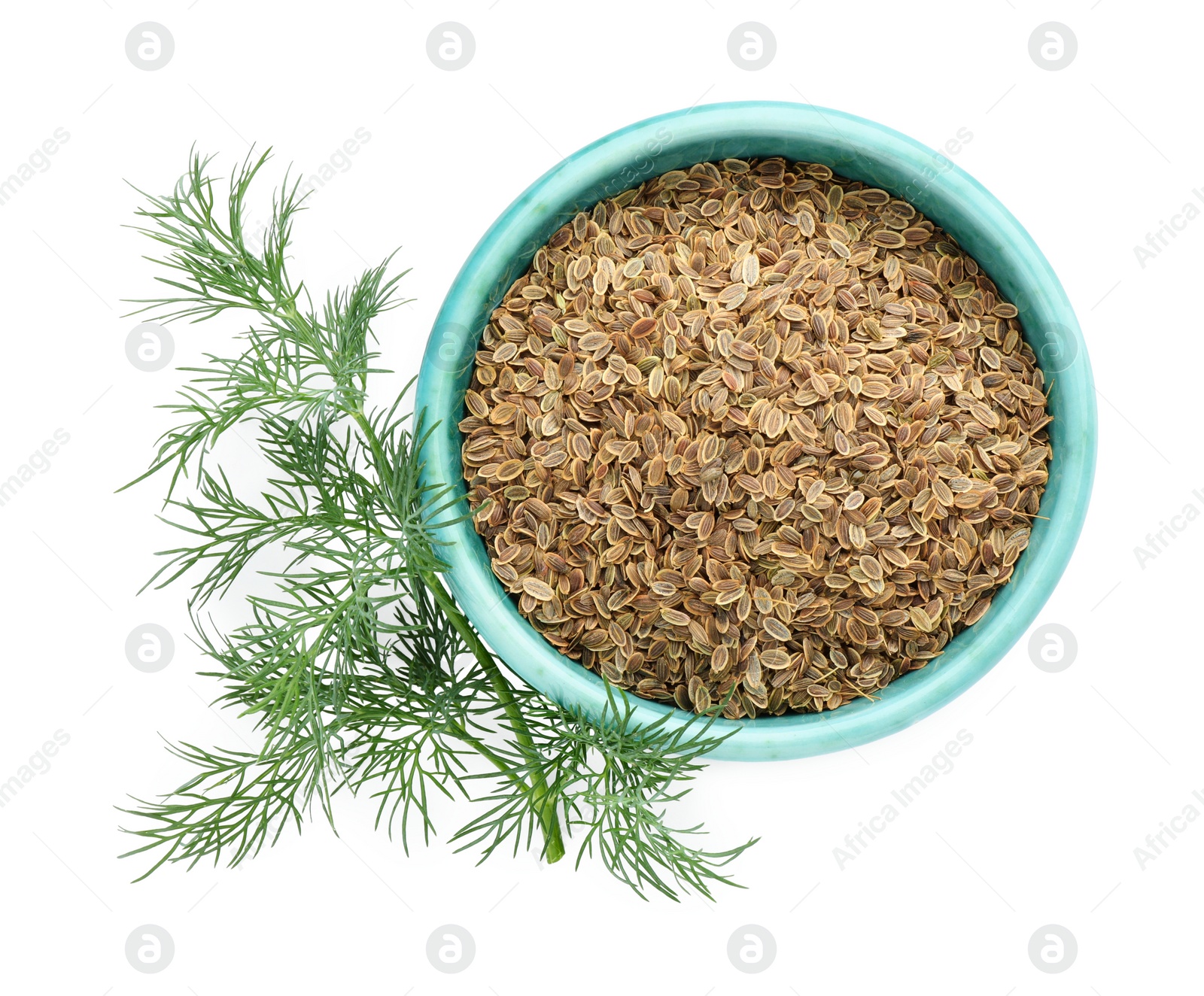 Photo of Bowl of dry seeds and fresh dill isolated on white, top view