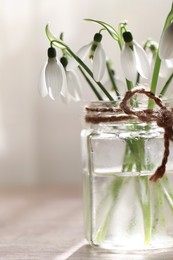 Photo of Beautiful snowdrops in glass jar indoors, closeup. First spring flowers