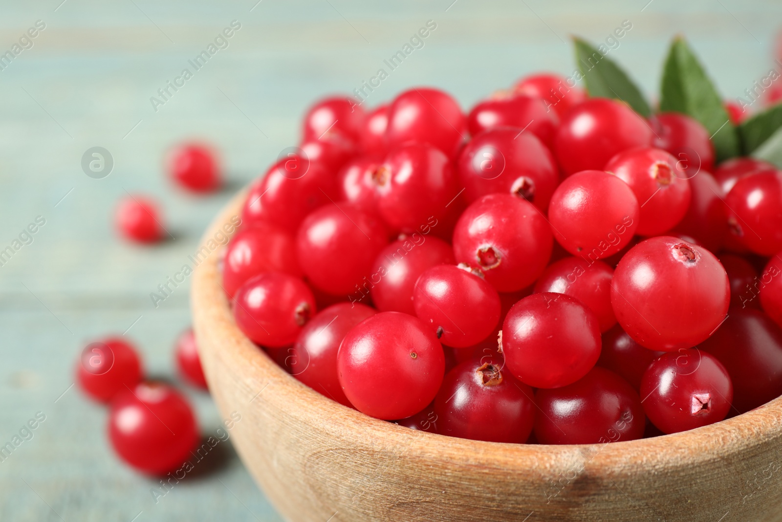 Photo of Tasty ripe cranberries on light blue table, closeup