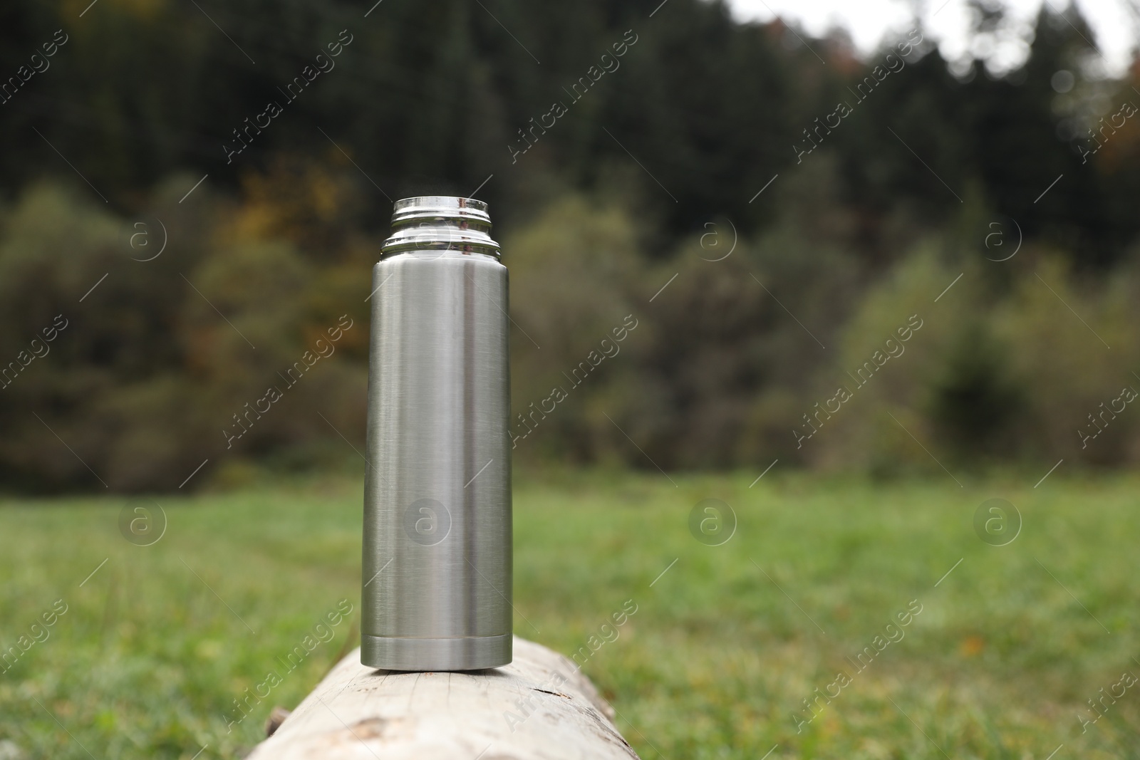 Photo of Metallic thermos on log outdoors, space for text