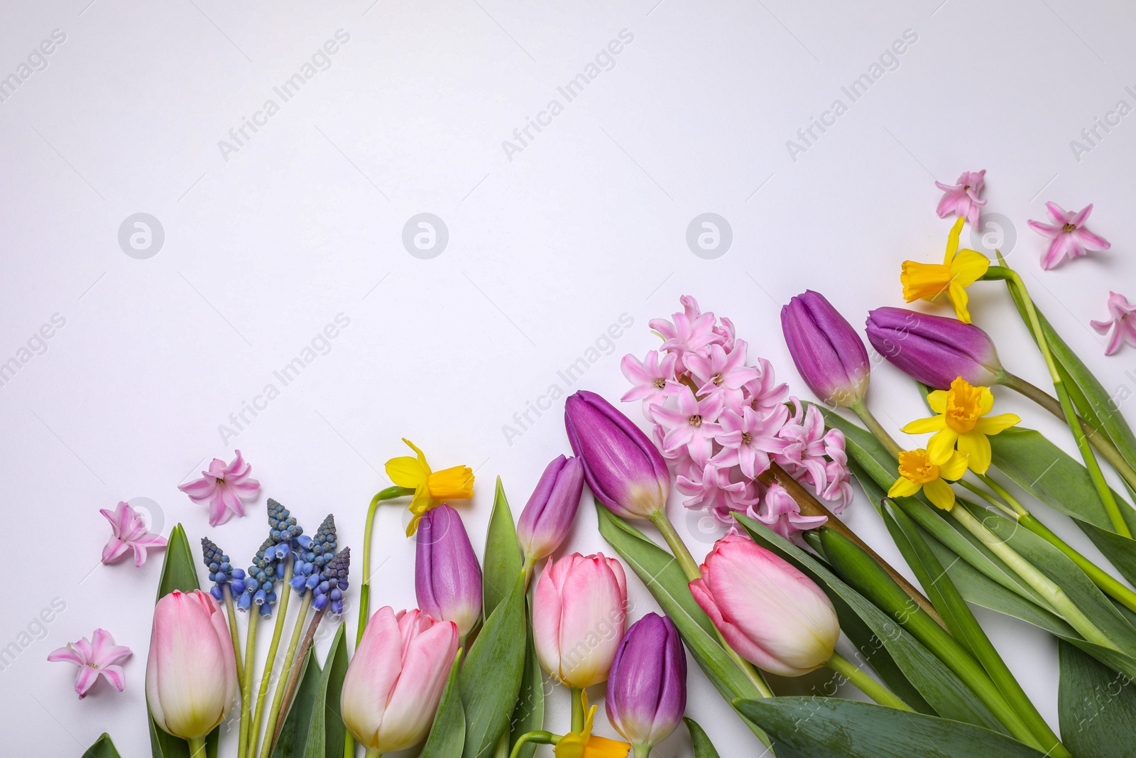 Photo of Beautiful flowers on white background, flat lay. Space for text