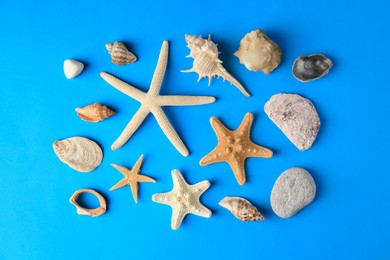 Many starfishes, stones and shells on blue background, flat lay