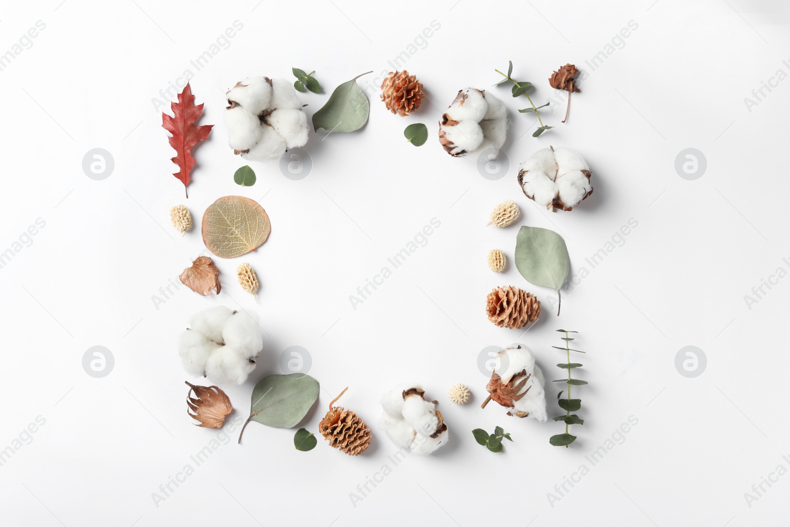 Photo of Composition with cotton flowers on white background, top view. Space for text