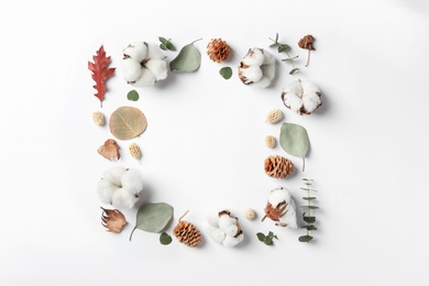 Photo of Composition with cotton flowers on white background, top view. Space for text