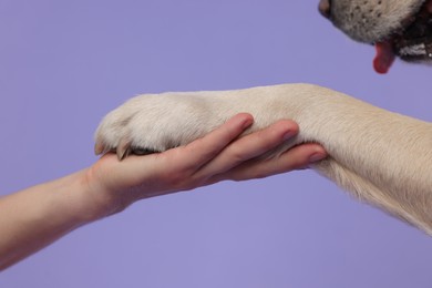 Photo of Dog giving paw to man on purple background, closeup
