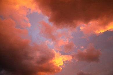 Photo of Picturesque view of beautiful sky with clouds on sunset