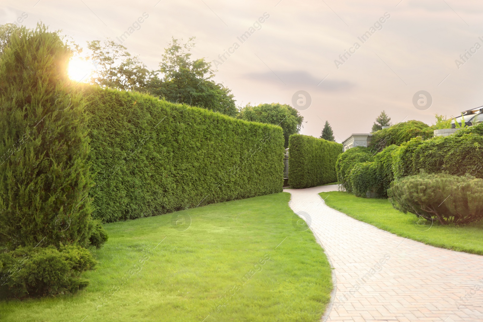 Photo of Picturesque landscape with brick path on sunny day. Gardening idea