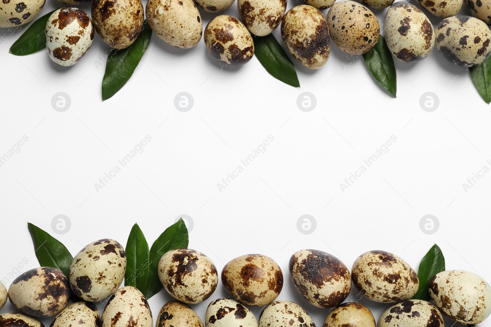 Photo of Speckled quail eggs and green leaves on white background, flat lay. Space for text