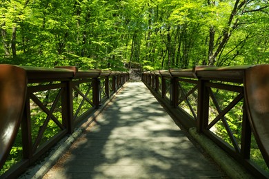 Photo of Picturesque view of beautiful park with wooden bridge and trees outdoors