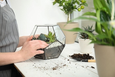 Photo of Woman transplanting home plants into florarium on window sill, closeup