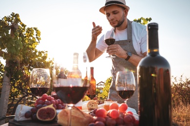 Photo of Man enjoying wine in vineyard on sunny day