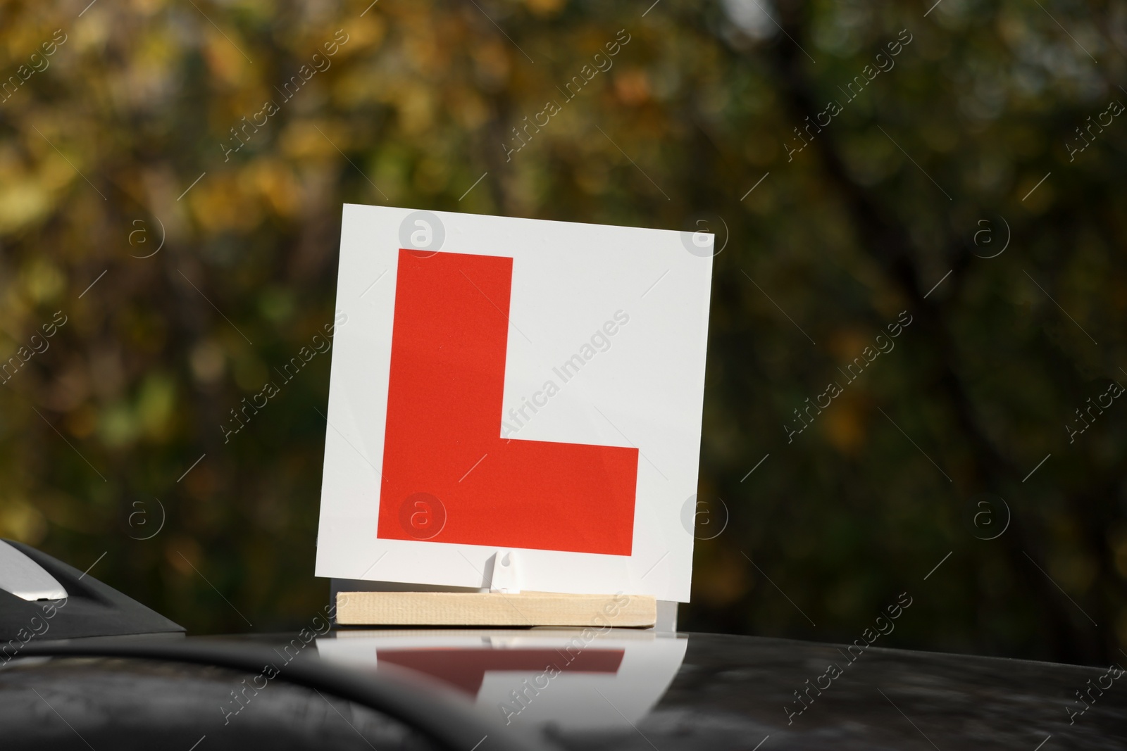 Photo of L-plate on car roof outdoors. Driving school