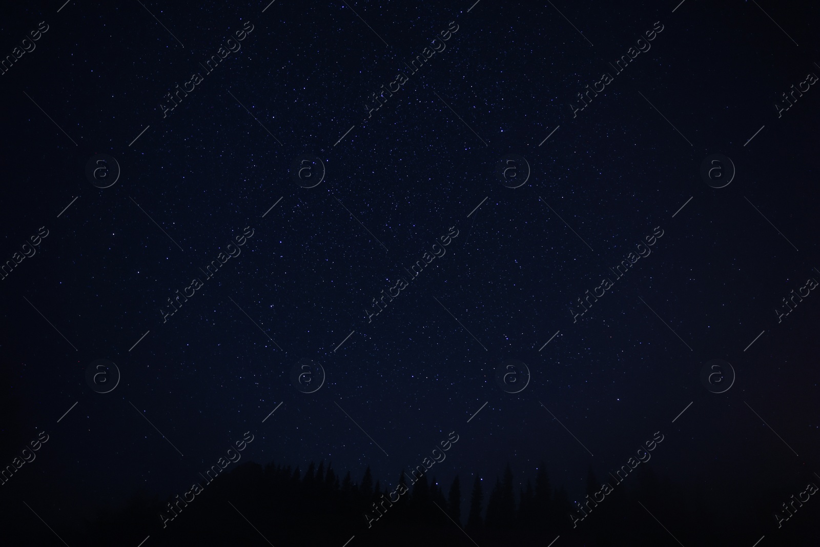 Photo of Beautiful view of starry sky over dark forest at night