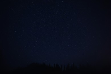 Photo of Beautiful view of starry sky over dark forest at night