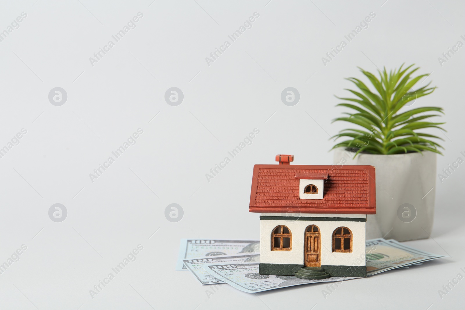 Photo of House model, money and houseplant on light grey background, space for text. Mortgage concept