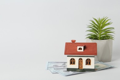 Photo of House model, money and houseplant on light grey background, space for text. Mortgage concept