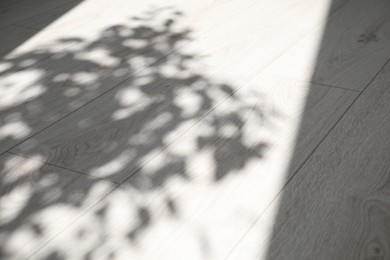 Photo of Shadow from window and houseplant on white laminated floor indoors