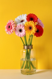 Bouquet of beautiful colorful gerbera flowers in vase on table against yellow background